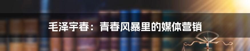 毛泽宇春:青春风暴里的媒体营销