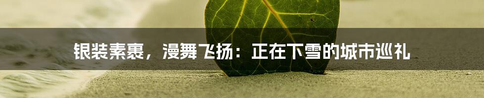 银装素裹,漫舞飞扬:正在下雪的城市巡礼
