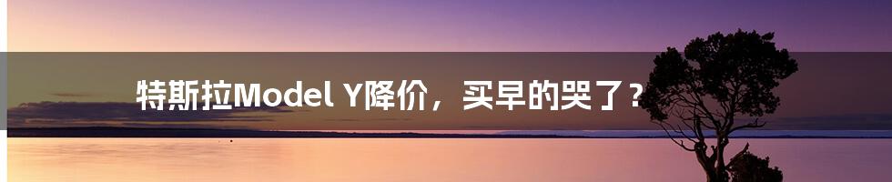 特斯拉Model Y降价,买早的哭了?