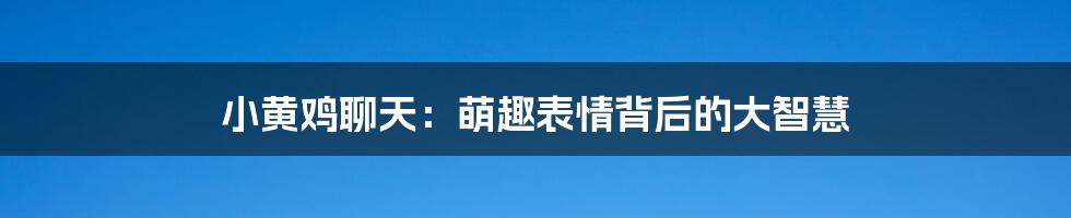小黄鸡聊天:萌趣表情背后的大智慧