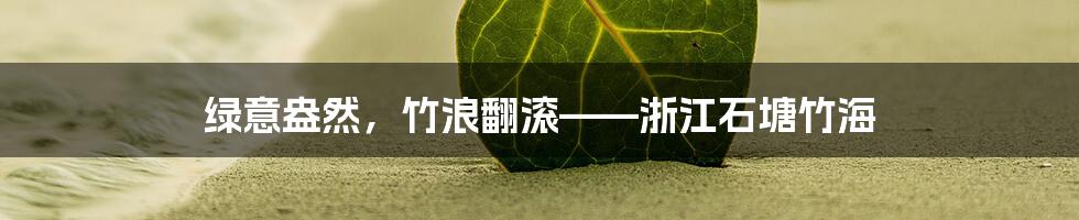 绿意盎然,竹浪翻滚——浙江石塘竹海