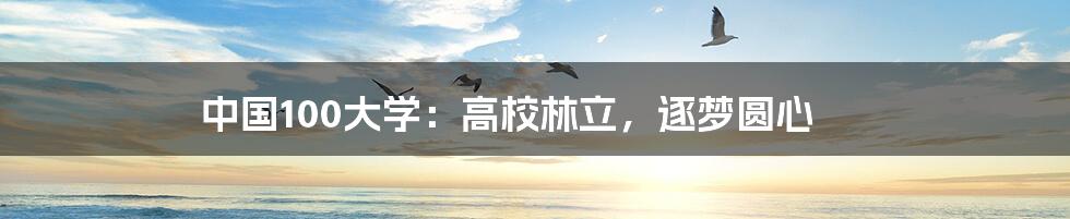 中国100大学:高校林立,逐梦圆心