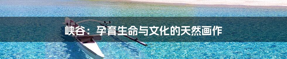 峡谷:孕育生命与文化的天然画作