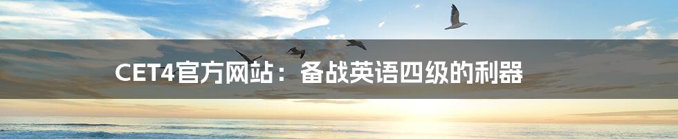 CET4官方网站:备战英语四级的利器