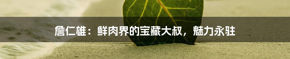 詹仁雄:鲜肉界的宝藏大叔,魅力永驻