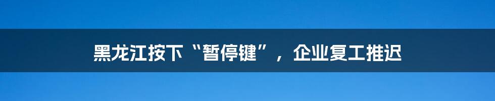 黑龙江按下“暂停键”，企业复工推迟