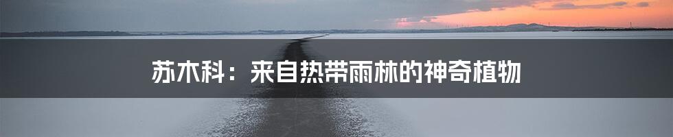 苏木科：来自热带雨林的神奇植物