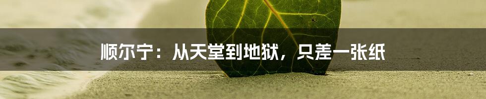 顺尔宁:从天堂到地狱,只差一张纸