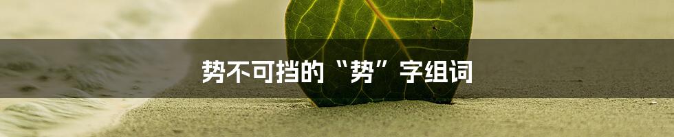 势不可挡的“势”字组词