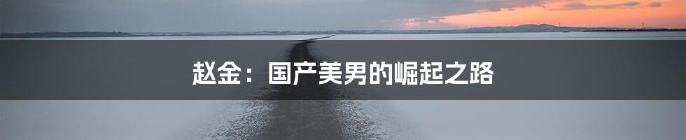 赵金：国产美男的崛起之路