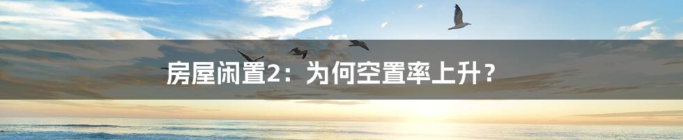 房屋闲置2:为何空置率上升?