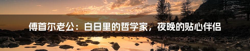 傅首尔老公：白日里的哲学家，夜晚的贴心伴侣