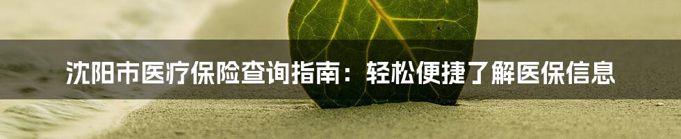 沈阳市医疗保险查询指南：轻松便捷了解医保信息