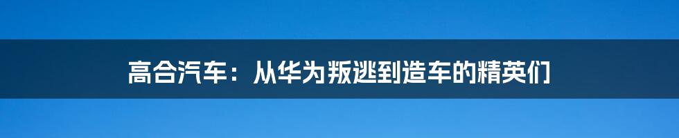 高合汽车：从华为叛逃到造车的精英们