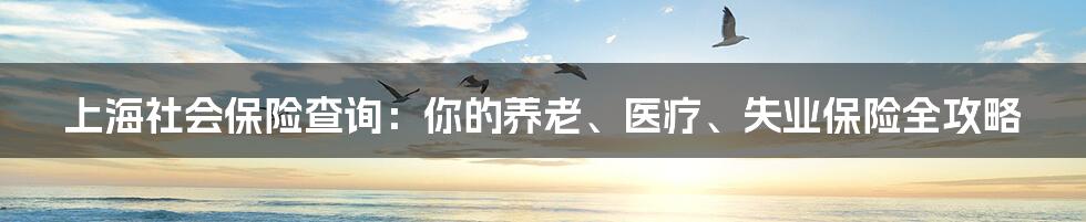 上海社会保险查询:你的养老、医疗、失业保险全攻略