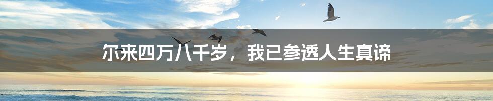 尔来四万八千岁，我已参透人生真谛