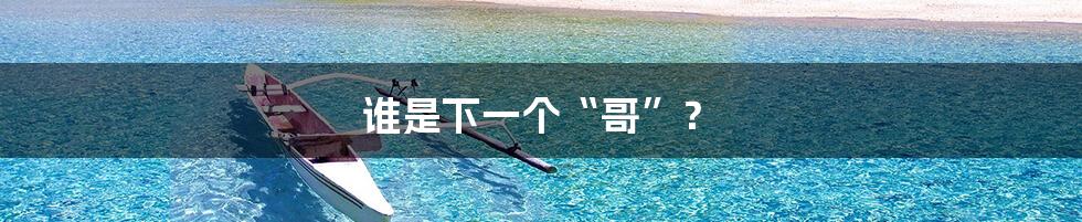 谁是下一个“哥”？