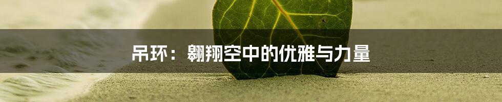 吊环:翱翔空中的优雅与力量