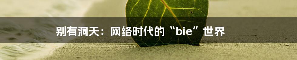 别有洞天:网络时代的“bie”世界