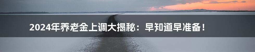 2024年养老金上调大揭秘:早知道早准备!