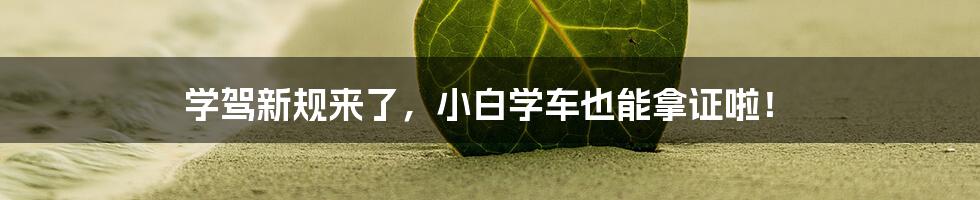 学驾新规来了,小白学车也能拿证啦!