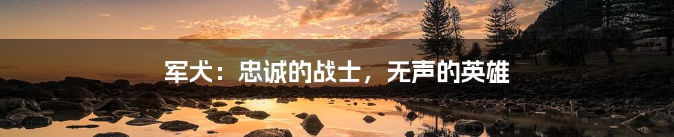 军犬:忠诚的战士,无声的英雄