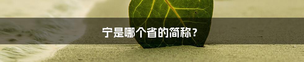 宁是哪个省的简称?