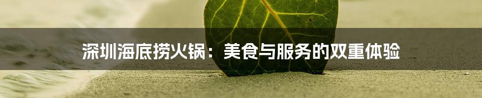 深圳海底捞火锅:美食与服务的双重体验