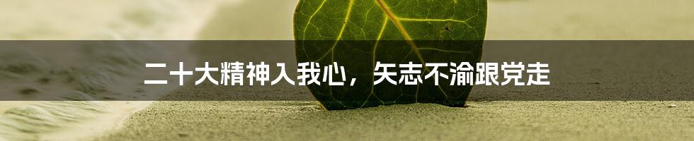 二十大精神入我心，矢志不渝跟党走