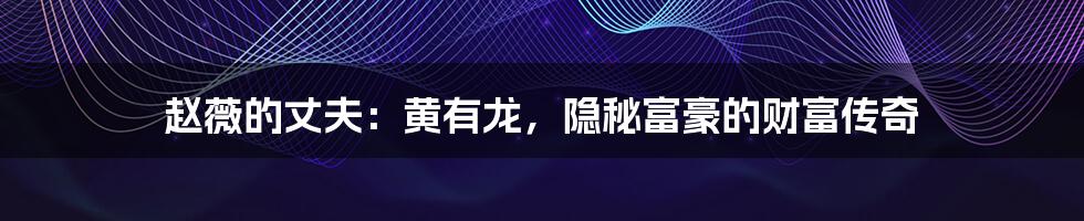 赵薇的丈夫:黄有龙,隐秘富豪的财富传奇