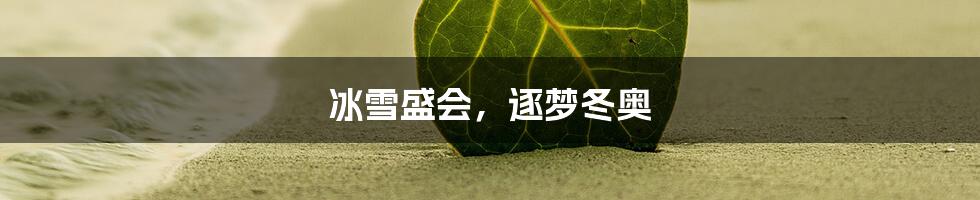 冰雪盛会,逐梦冬奥