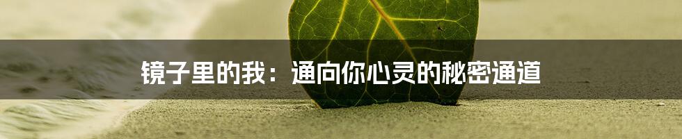 镜子里的我:通向你心灵的秘密通道