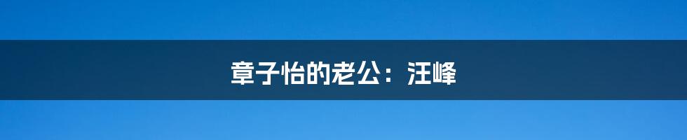 章子怡的老公:汪峰