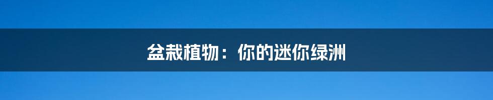 盆栽植物：你的迷你绿洲