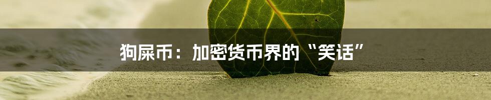 狗屎币:加密货币界的“笑话”