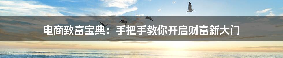 电商致富宝典：手把手教你开启财富新大门