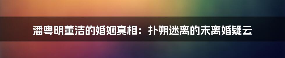 潘粤明董洁的婚姻真相:扑朔迷离的未离婚疑云