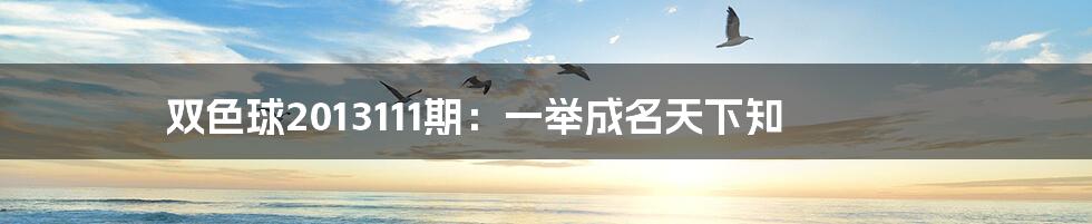 双色球2013111期:一举成名天下知