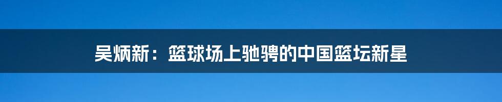 吴炳新:篮球场上驰骋的中国篮坛新星