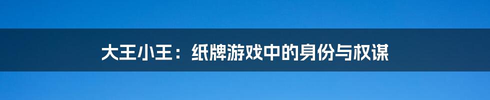 大王小王：纸牌游戏中的身份与权谋