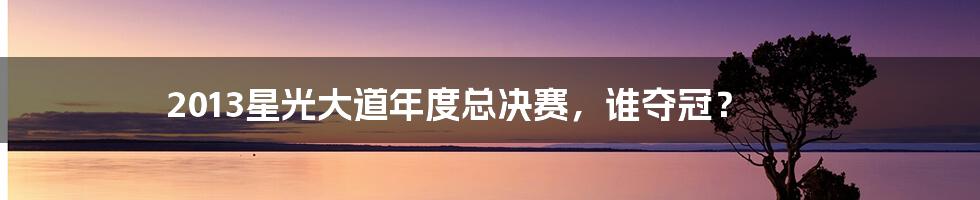 2013星光大道年度总决赛,谁夺冠?