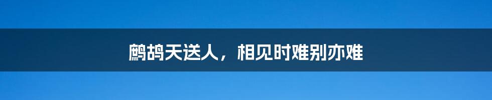 鹧鸪天送人,相见时难别亦难