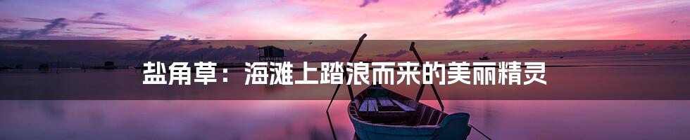 盐角草:海滩上踏浪而来的美丽精灵