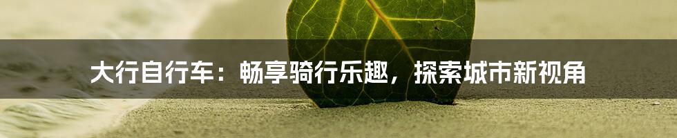 大行自行车:畅享骑行乐趣,探索城市新视角
