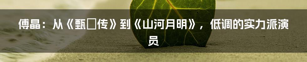 傅晶:从《甄嬛传》到《山河月明》,低调的实力派演员