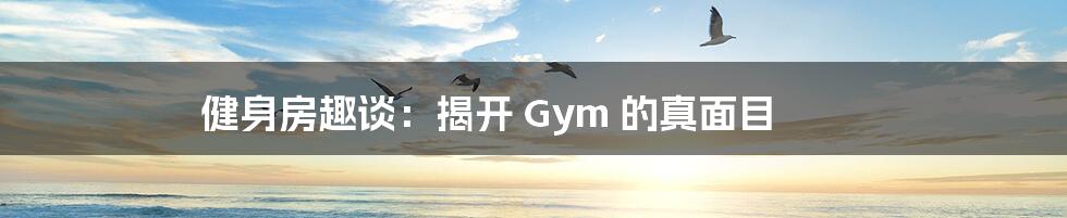 健身房趣谈：揭开 Gym 的真面目