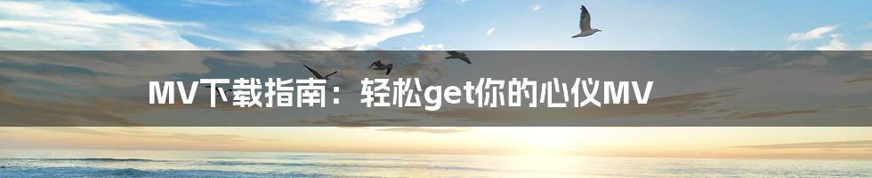 MV下载指南:轻松get你的心仪MV