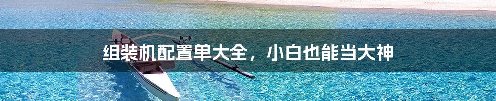 组装机配置单大全,小白也能当大神