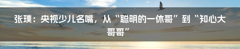 张璞:央视少儿名嘴,从“聪明的一休哥”到“知心大哥哥”