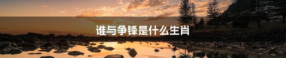 谁与争锋是什么生肖